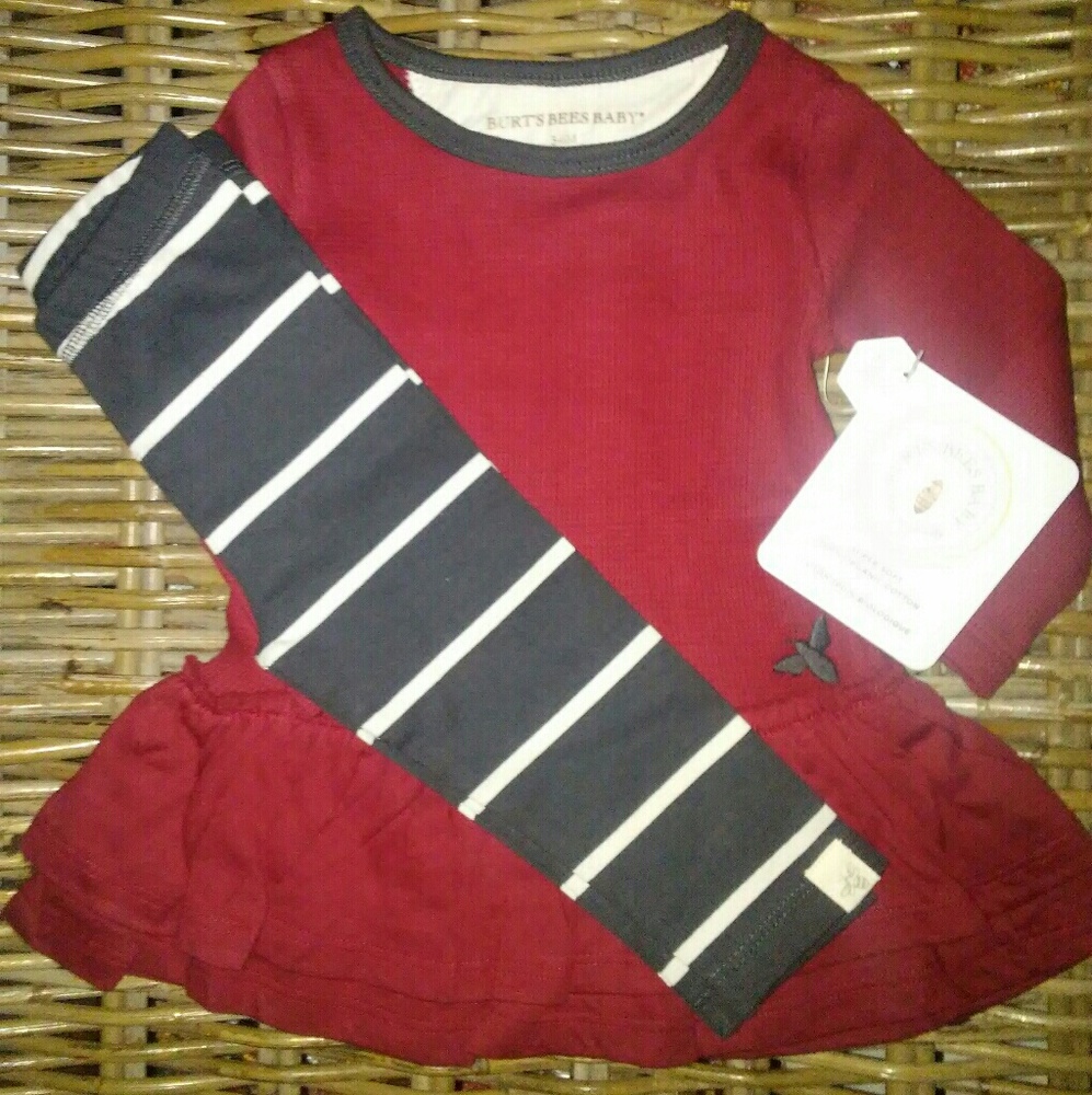 🐝FREE SHIPPING! NWT Burt's Bees Baby 2 pc outfit